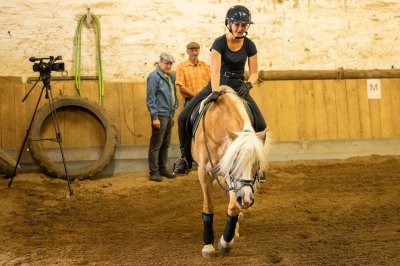 Peter Reich und Dr. Hans-Jörg Zöllner sehen beim Training der Haflinger zu