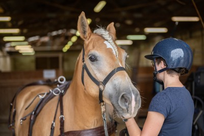 Peter Reich und Dr. Hans-Jörg Zöllner sehen beim Training der Haflinger zu