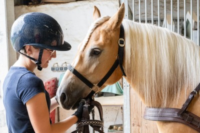 Peter Reich und Dr. Hans-Jörg Zöllner sehen beim Training der Haflinger zu