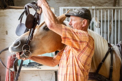 Peter Reich und Dr. Hans-Jörg Zöllner sehen beim Training der Haflinger zu