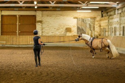 Peter Reich und Dr. Hans-Jörg Zöllner sehen beim Training der Haflinger zu