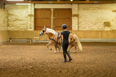 Peter Reich und Dr. Hans-Jörg Zöllner sehen beim Training der Haflinger zu