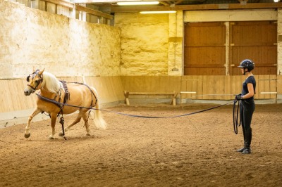 Peter Reich und Dr. Hans-Jörg Zöllner sehen beim Training der Haflinger zu