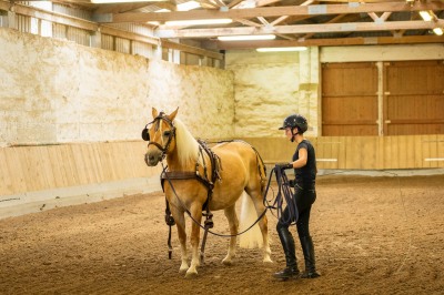 Peter Reich und Dr. Hans-Jörg Zöllner sehen beim Training der Haflinger zu