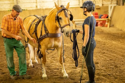Peter Reich und Dr. Hans-Jörg Zöllner sehen beim Training der Haflinger zu
