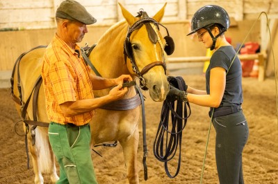 Peter Reich und Dr. Hans-Jörg Zöllner sehen beim Training der Haflinger zu