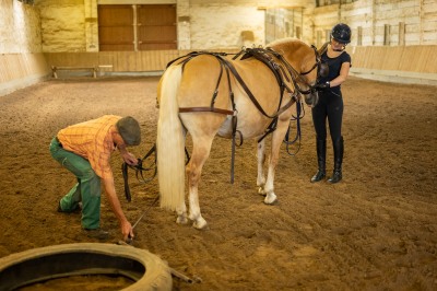 Peter Reich und Dr. Hans-Jörg Zöllner sehen beim Training der Haflinger zu
