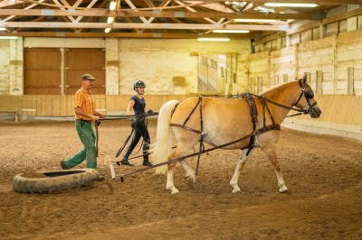 Peter Reich und Dr. Hans-Jörg Zöllner sehen beim Training der Haflinger zu
