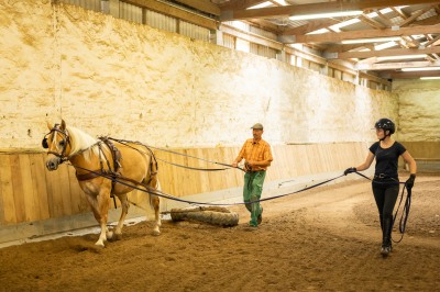 Peter Reich und Dr. Hans-Jörg Zöllner sehen beim Training der Haflinger zu