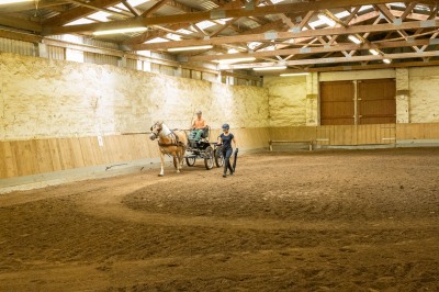 Peter Reich und Dr. Hans-Jörg Zöllner sehen beim Training der Haflinger zu