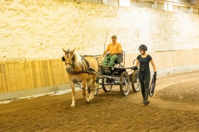 Peter Reich und Dr. Hans-Jörg Zöllner sehen beim Training der Haflinger zu