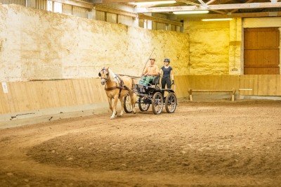 Peter Reich und Dr. Hans-Jörg Zöllner sehen beim Training der Haflinger zu