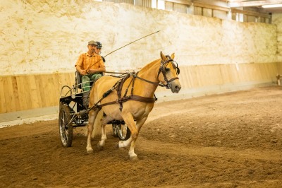 Peter Reich und Dr. Hans-Jörg Zöllner sehen beim Training der Haflinger zu