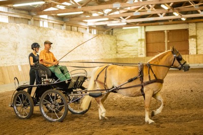 Peter Reich und Dr. Hans-Jörg Zöllner sehen beim Training der Haflinger zu