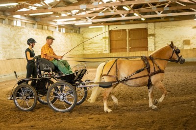 Peter Reich und Dr. Hans-Jörg Zöllner sehen beim Training der Haflinger zu