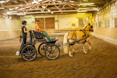 Peter Reich und Dr. Hans-Jörg Zöllner sehen beim Training der Haflinger zu