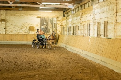 Peter Reich und Dr. Hans-Jörg Zöllner sehen beim Training der Haflinger zu