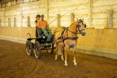 Peter Reich und Dr. Hans-Jörg Zöllner sehen beim Training der Haflinger zu