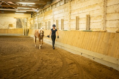 Peter Reich und Dr. Hans-Jörg Zöllner sehen beim Training der Haflinger zu