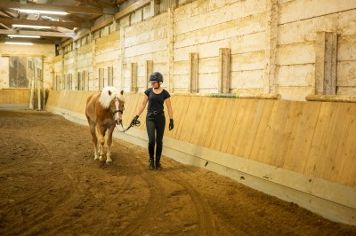 Peter Reich und Dr. Hans-Jörg Zöllner sehen beim Training der Haflinger zu