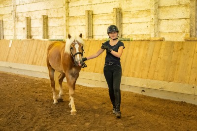 Peter Reich und Dr. Hans-Jörg Zöllner sehen beim Training der Haflinger zu