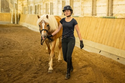 Peter Reich und Dr. Hans-Jörg Zöllner sehen beim Training der Haflinger zu