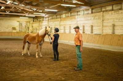 Peter Reich und Dr. Hans-Jörg Zöllner sehen beim Training der Haflinger zu