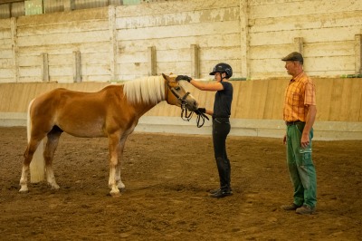 Peter Reich und Dr. Hans-Jörg Zöllner sehen beim Training der Haflinger zu