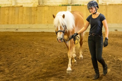Peter Reich und Dr. Hans-Jörg Zöllner sehen beim Training der Haflinger zu