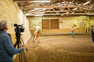 Peter Reich und Dr. Hans-Jörg Zöllner sehen beim Training der Haflinger zu