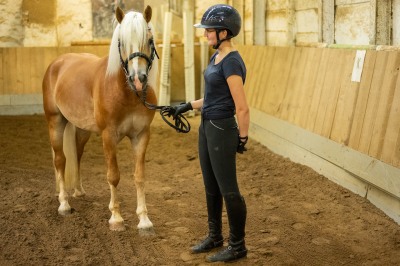 Peter Reich und Dr. Hans-Jörg Zöllner sehen beim Training der Haflinger zu