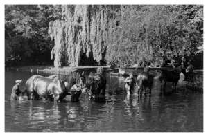 Deutschland-Merseburg-Gotthardteich-A284-B