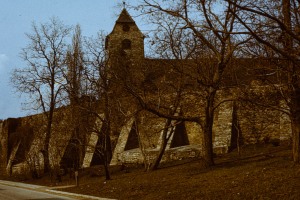 Altenburger Kirche St. Viti - Mauer (1985)