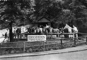 Deutschland-Eisenach-Wartburg-Eselstation-1970-J033-B