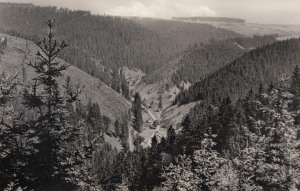 Neumannsgrund